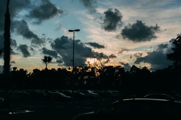 Cars on modern parking during sunset in evening — Stock Photo