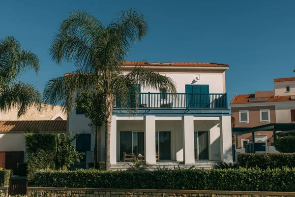 Grüne Palmen in der Nähe moderner Häuser gegen blauen Himmel — Stockfoto