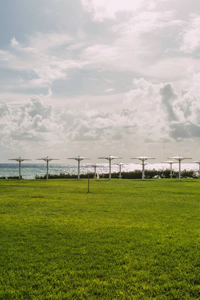 Green and fresh grass near outdoor umbrellas and sea — Stock Photo