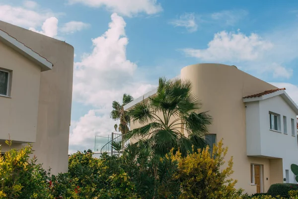 Modern houses near palm tree against blue sky with white clouds — Stock Photo