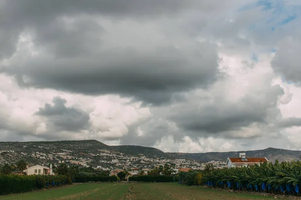 Vue panoramique sur les arbres verts près des maisons dans les montagnes — Photo de stock