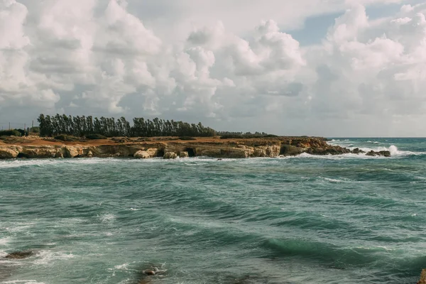 Arbres près de la mer Méditerranée contre le ciel avec des nuages blancs — Photo de stock