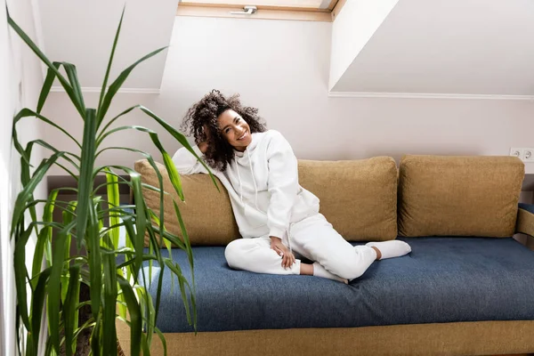 Selektiver Fokus einer glücklichen afrikanisch-amerikanischen Frau, die auf einem Sofa in der Nähe einer grünen Pflanze sitzt — Stockfoto