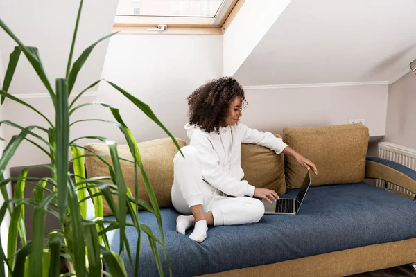 Selective focus of young african american freelancer sitting on sofa near plant and using laptop — Stock Photo