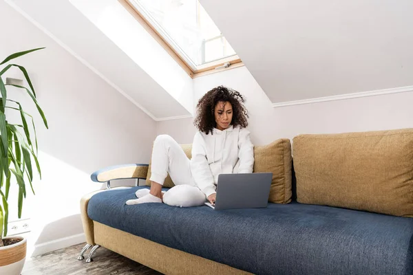 Jovem freelancer afro-americano sentado no sofá perto da planta e usando laptop — Fotografia de Stock