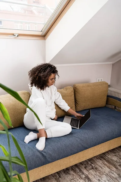 Selective focus of young african american freelancer sitting on sofa near green plant and using laptop — Stock Photo