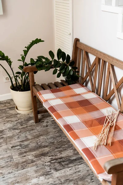 Coperta plaid su panca di legno vicino pianta verde — Foto stock