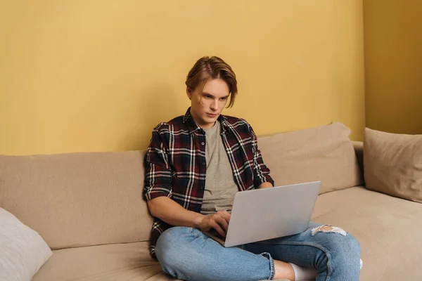 Handsome freelancer using laptop in living room — Stock Photo