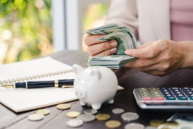 Genç kadın bize dolar sayıyor. Para ve finansal konsept tasarrufu