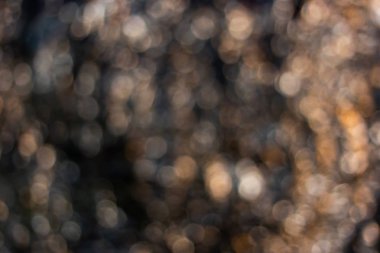 Bulanık görüntüler ve arkaplan görüntüleri, yansıyan ışık. Kameralar yağmurdan sonra çekiliyor.