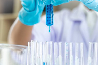 Bilim insanları kimyasal bileşimin ve biyolojik kütlesinin bilimsel bir laboratuvarda, bilim adamlarında ve laboratuar konseptinde tespit edilmesine hazırlanmak için mavi kimyasal test tüpleri taşıyorlar..