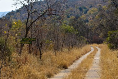 Rustenburg, Güney Afrika Çimento Yolu Kavşağı 'ndaki Bush Yolu İşareti