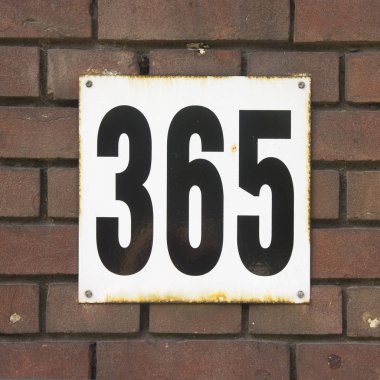 Ev numarası 365