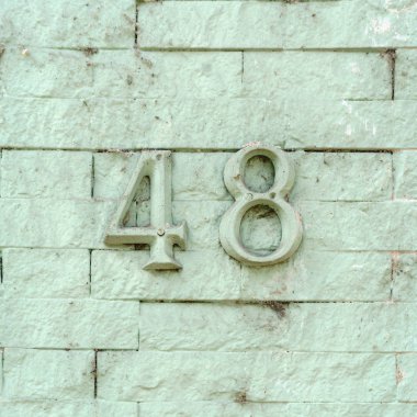 ev numarası 48