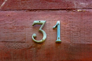 sayı 31