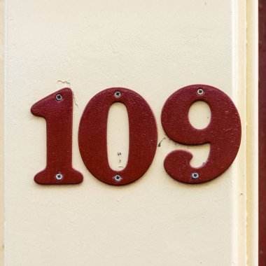 sayı 109