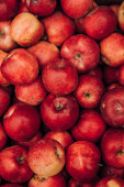 čerstvá červená jablka, ovoce, podzimní sklizeň, vitamín