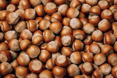 Yiyecek pazarında fındık.