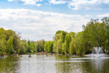 Su birikintisi ağaç ve tekneler