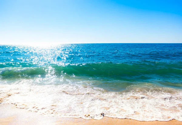 Busa laut di pasir — Stok Foto