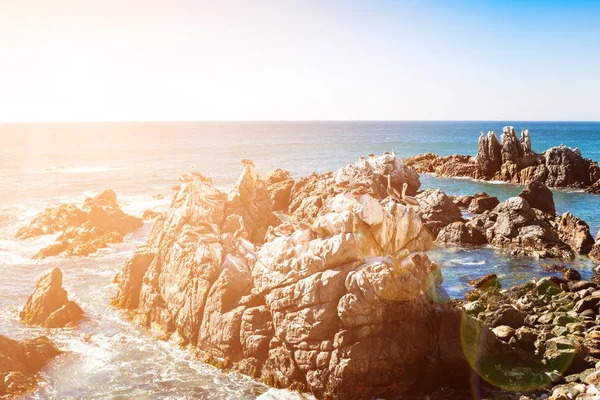 Rocas en el océano con pelícanos marrones en la distancia — Foto de Stock
