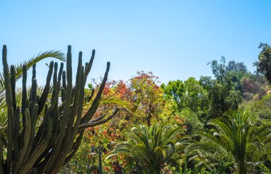 Şehir Parkı, egzotik bitkiler