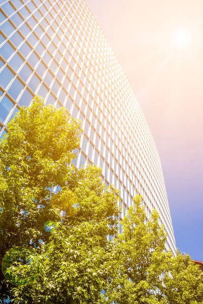 Immeuble de bureaux contemporain avec feuilles vertes et lumière du soleil — Photo