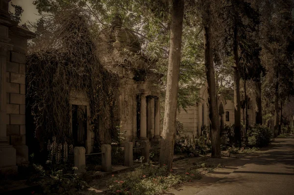 दफनगृहात सोडलेले क्रिप्ट — स्टॉक फोटो, इमेज