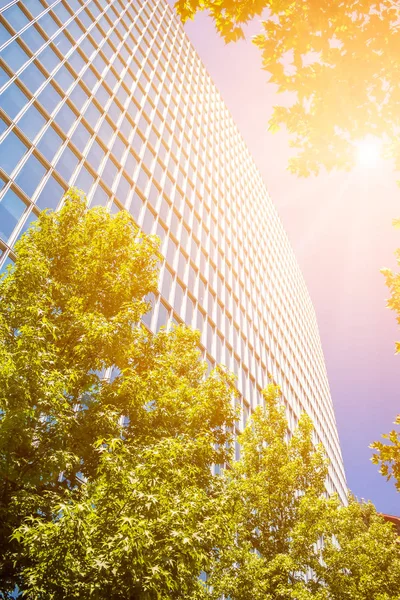 Immeuble de bureaux contemporain avec feuilles vertes et lumière du soleil — Photo