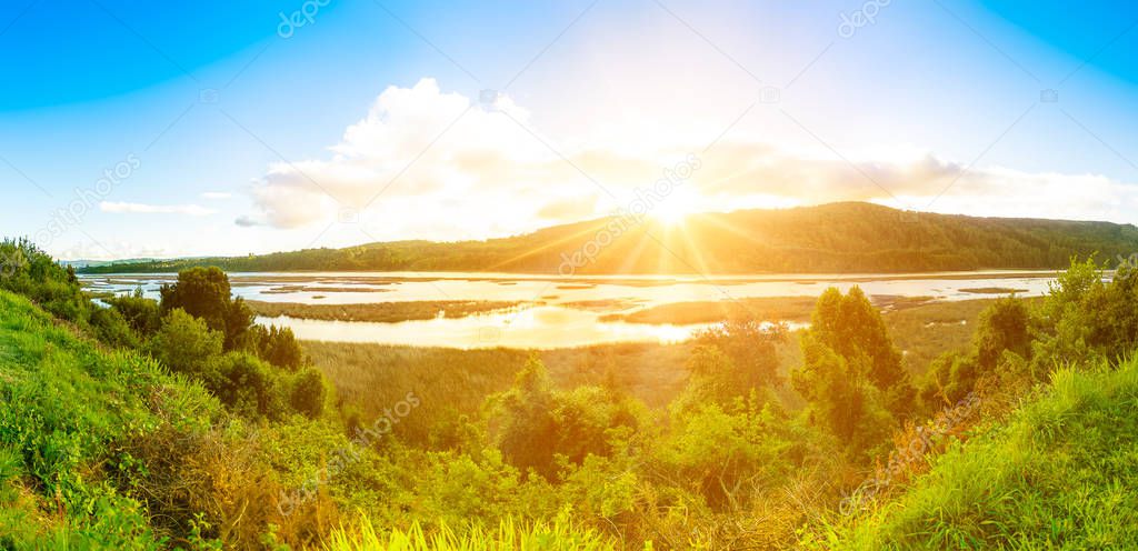 Landscape in Valdivia