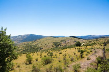 Dağları Talca yakınında