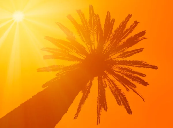 Dłoń i słońce — Zdjęcie stockowe