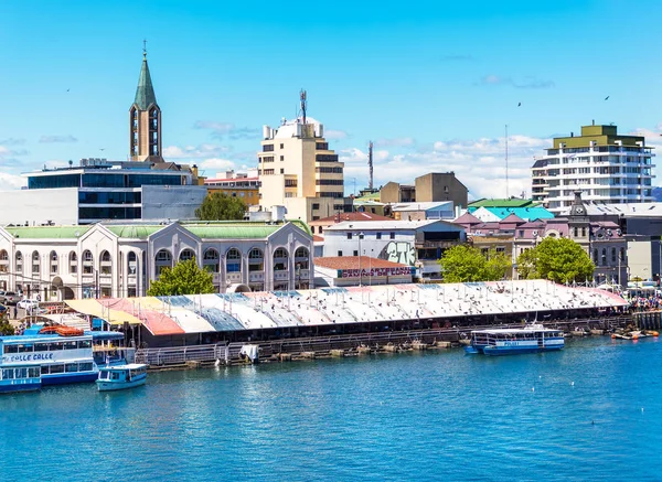 Fish market in Valdivia — Stock Photo, Image