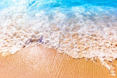 deniz köpüğü kum üzerinde