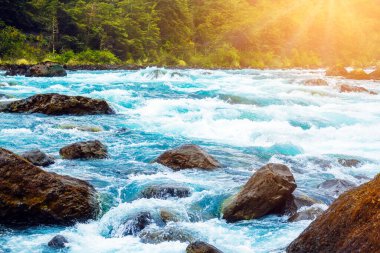 Kayalar ve güneş ışığıyla berrak mavi dağ nehri