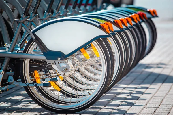 Wheels Bicycles Rental Station — Stock Photo, Image