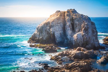 Şili 'de Pasifik Okyanusu kıyısında kuşların olduğu Rocky Adası