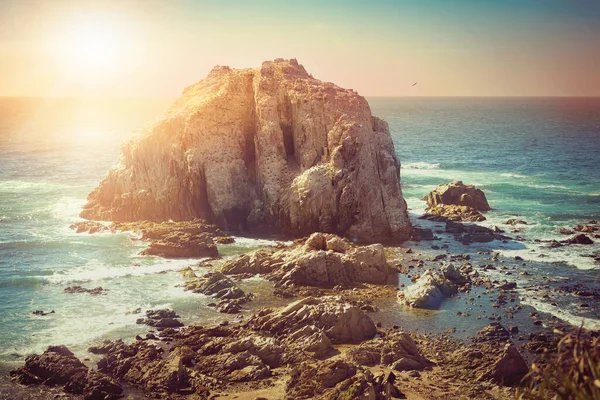 Klippig Med Fåglar Nära Coastilne Stilla Havet Chile Vid Solnedgången — Stockfoto