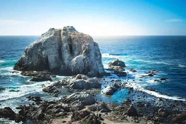 Klippig Med Fåglar Nära Coastilne Stilla Havet Chile — Stockfoto