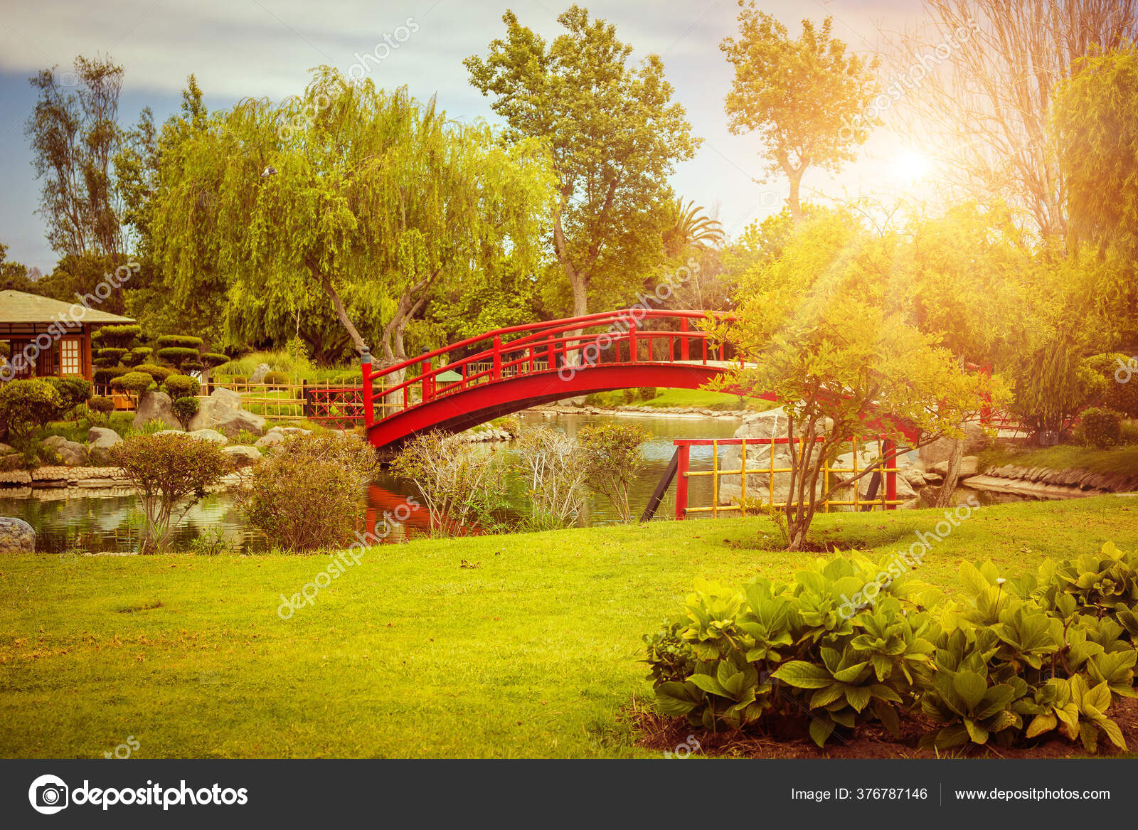 Puente Rojo Jardín Japonés Atardecer Serena Chile — Foto de stock