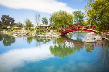 Kırmızı yay köprüsü ve Şili, La Serena 'da yansımaları olan güzel Japon bahçesi.