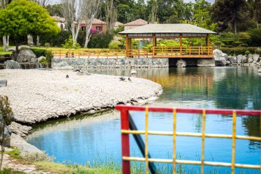 La Serena, Şili 'deki güzel Japon bahçesi
