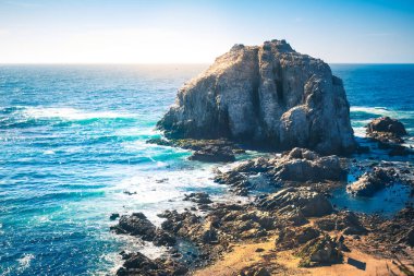 Şili 'de Pasifik Okyanusu kıyısında kuşların olduğu Rocky Adası