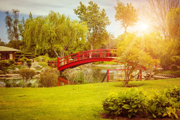 Ponte Rosso Nel Giardino Giapponese Tramonto Serena Cile — Foto Stock