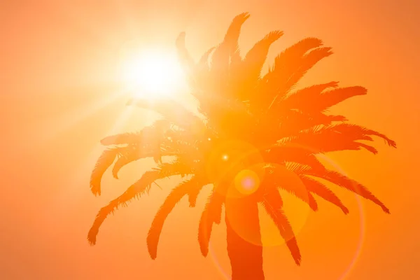 Pomerančová Silueta Dlaně Umělým Sluncem — Stock fotografie
