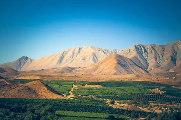 ビクーナ近くの山と畑のあるチリの風景 ストック写真