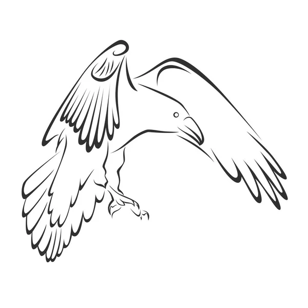Vector Cuervo Blanco Negro — Archivo Imágenes Vectoriales