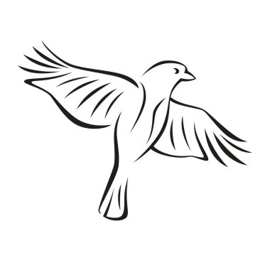 beyaz zemin üzerinde vektör kuş