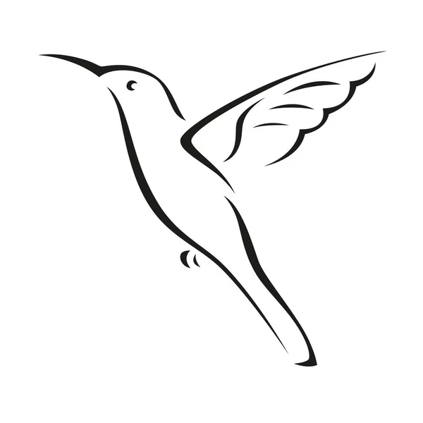 Vektorové Pták Bílém Pozadí Royalty Free Stock Ilustrace