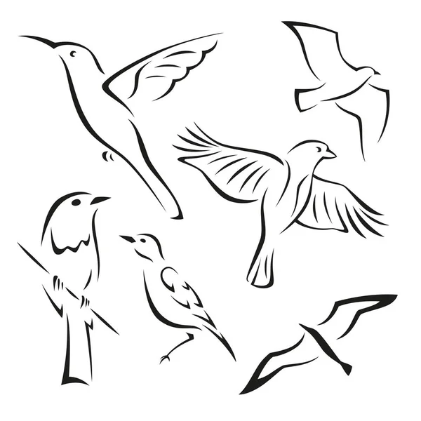 Conjunto Vectorial Aves Sobre Fondo Blanco — Archivo Imágenes Vectoriales